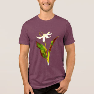 Erythronium Grandiflorum 