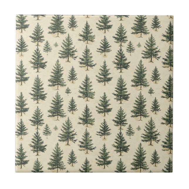 Esboço de Árvore Verde Perene Rústica em Creme Flo (Frente)