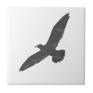 Esboço de Asas de Gaivotas Voando