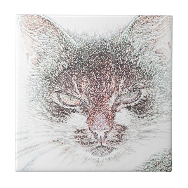 Esboço de Rosto de Gata Fofa e Irritada (Frente)