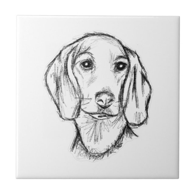 esboço desenhado à mão de cachorro dachshund preto (Frente)