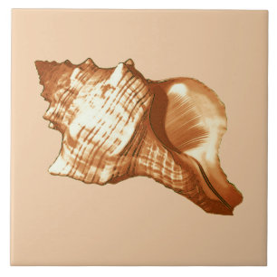 Esboço do escudo do Conch - marrom, branco e tan