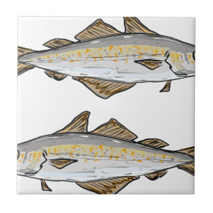 Esboço dos peixes do Pollock