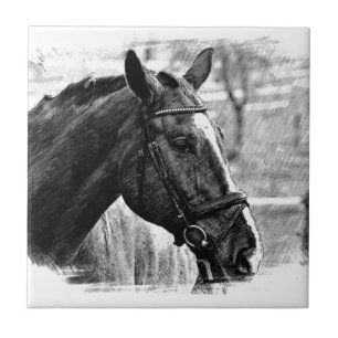 Esboço preto do cavalo branco