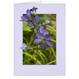 Escada de Jacob - Cartão de Arte de 5" x 7"