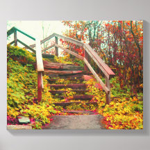 Escadaria Waterrock Knob na Blue Ridge Parkway