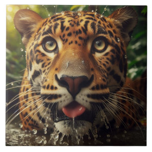 Escadas-leopardo enquanto Lapando Água na Selva