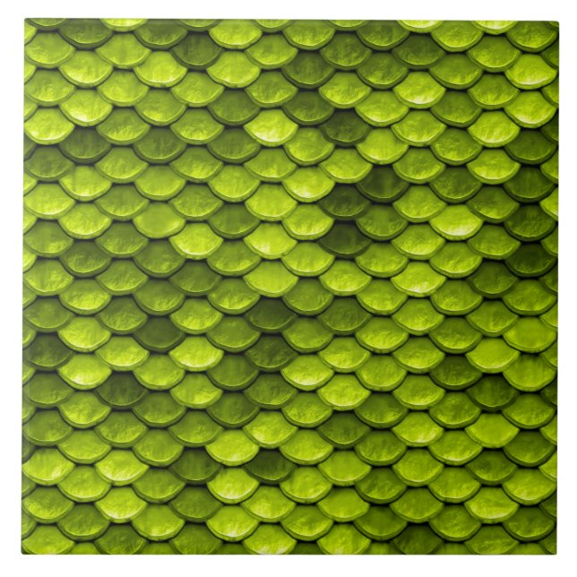 Escamas De Peixes De Sereia Verde Iridescentes (Frente)