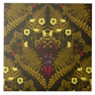 Escaravelho e samambaias