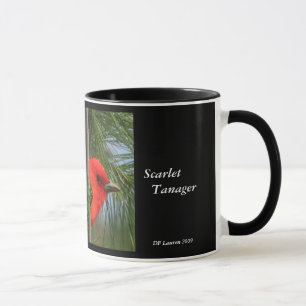 Escarlate da caneca do Tanager