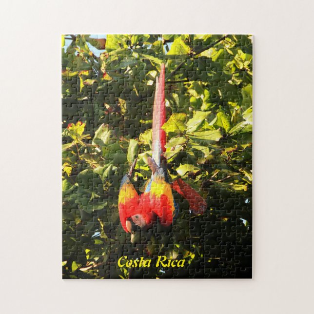 Escarlate do Macaw do quebra-cabeça (Vertical)