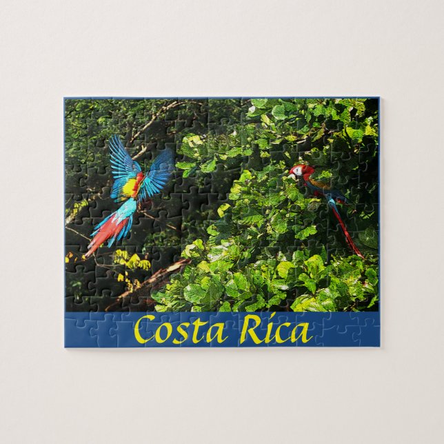 Escarlate dos Macaws da caixa do quebra-cabeça (Horizontal)