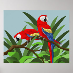 Escarlate dos posters do Macaw