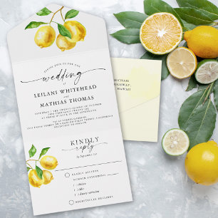 Escolha das Refeições de Casamento de Casamento de