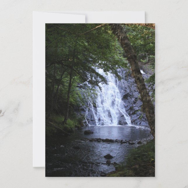 Escondidas através das árvores (Frente)