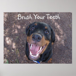 Escove os dentes Rottweiler Poster