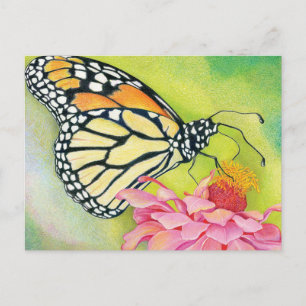 Escreva cartões postais para Democratas - Brigada