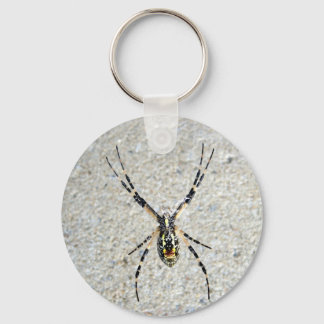 Escrevendo Chaveiro de aranha