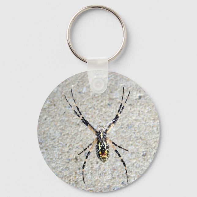 Escrevendo Chaveiro de aranha (Frente)