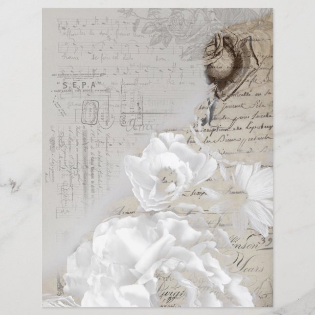 Escrita manual antiga, rosas brancas, vindas (Frente)