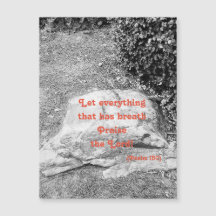 Escritura do Cartão Magnético Elogista