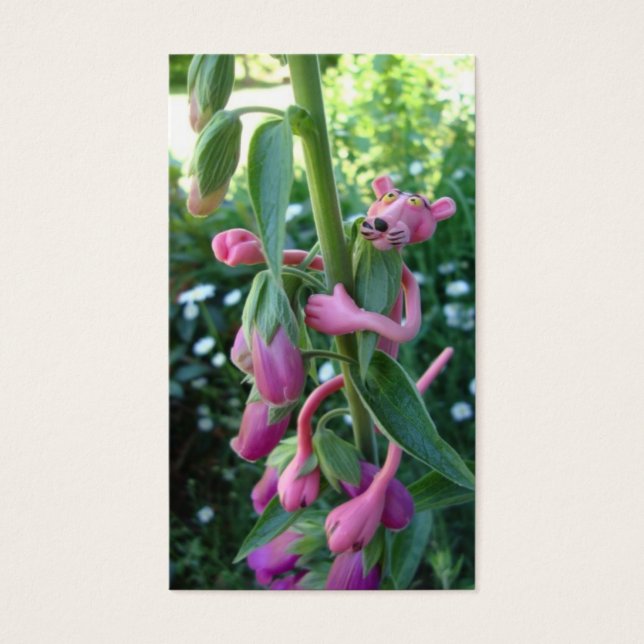 Escrituras Feitas Divertidas: John 15:5 (Frente)