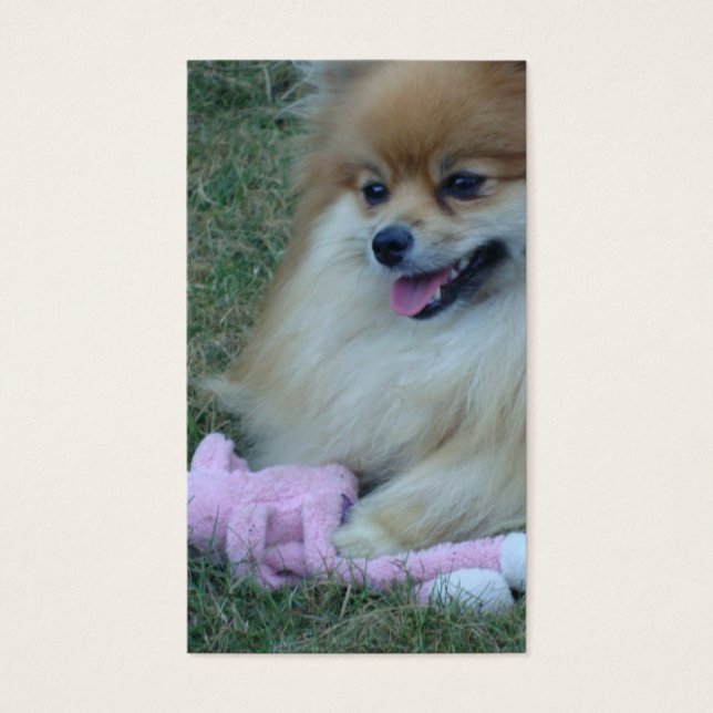 Escrituras Feitas Divertidas: Salmo 37:4 (Frente)