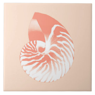 Escudo do nautilus - alaranjado e branco corais