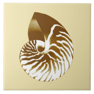 Escudo do nautilus - marrom, branco e bege