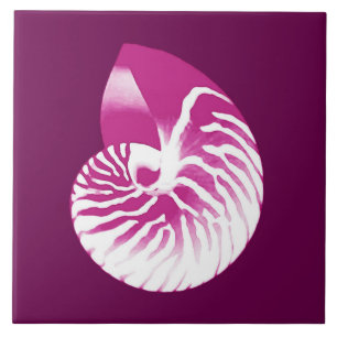 Escudo do nautilus - roxo e branco da beringela