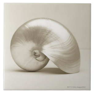 Escudo Pearlised do mar do nautilus
