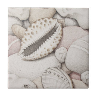 Escudos do Cowrie & do olmo e azulejo dos seixos