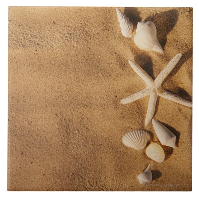 Escudos do mar na areia (Frente)
