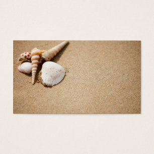 Escudos do mar na praia