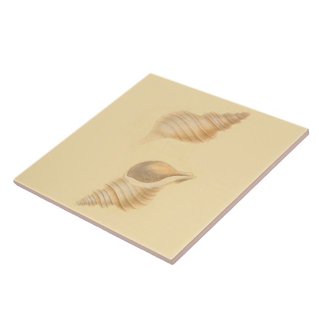 Escudos náuticos do mar dos azulejos do tema (Lateral)