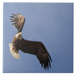 Esculpir O Céu