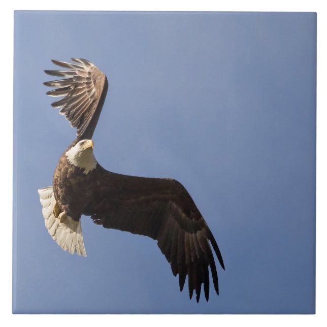 Esculpir O Céu (Frente)