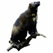 Escultura de Foto Wolverine Starging