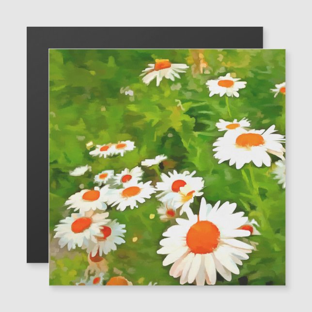 Escuridão Artística e Secas Coloridas do Jardim Br (Frente/Verso)