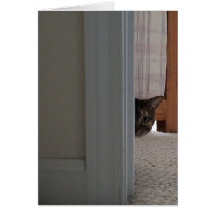 Escute Um Boo! Cartão de gato