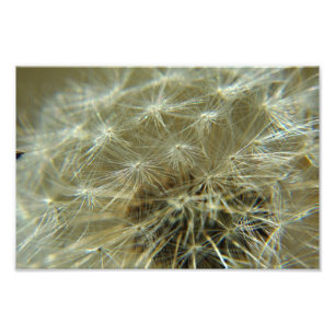 Esfera Fluffy - Foto