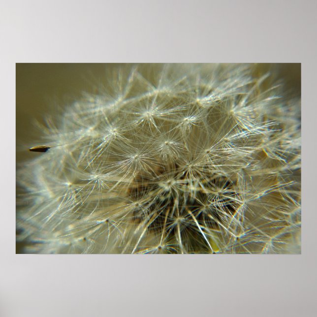 Esfera Fluffy - Poster (Frente)