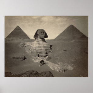 Esfinge Excelente de Giza, Egito - Poster