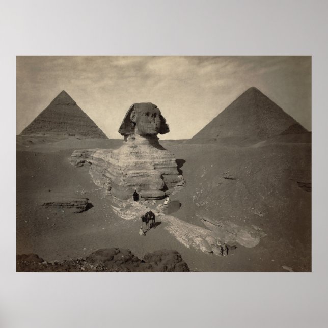 Esfinge Excelente de Giza, Egito - Poster (Frente)