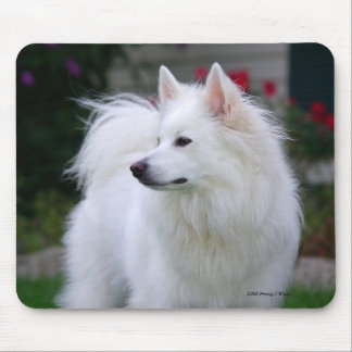 Eskie régio Mousepad