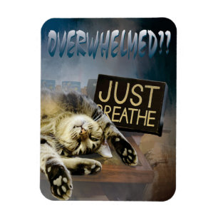 esmagado...apenas respire o ímã 23