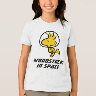 ESPAÇO Astronauta de Woodstock