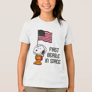 ESPAÇO Snoopy Com Astronauta De Bandeira