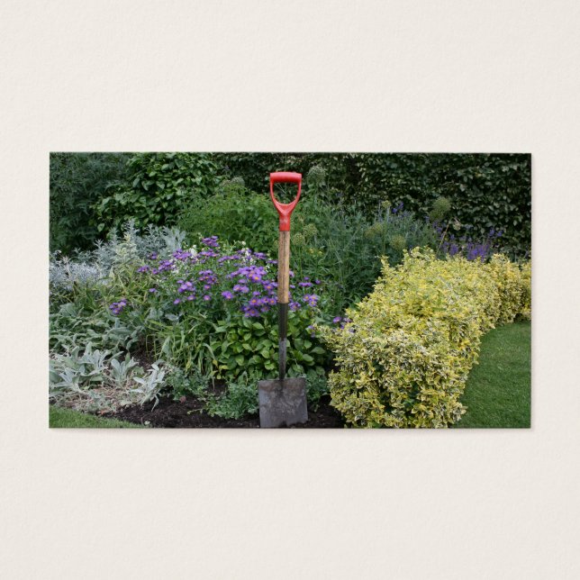 Espadas na cama de flores (Frente)