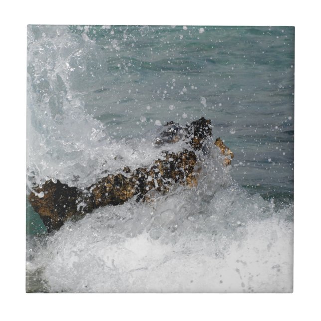 Espadilha marítima (Frente)